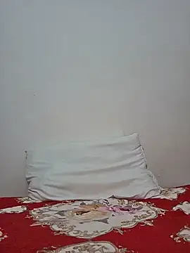 altinya webcam