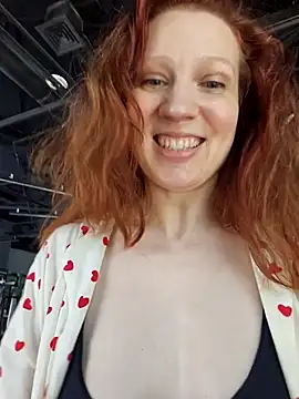 Exhibitionsplit webcam