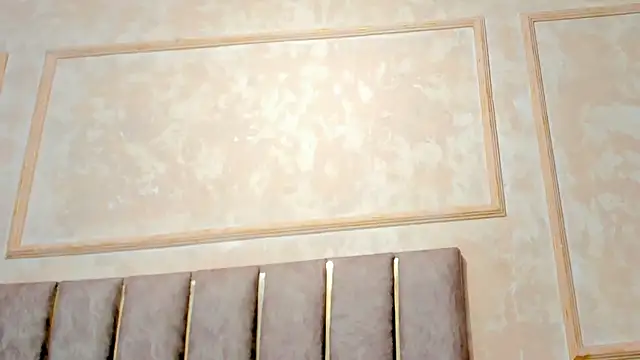 Liincostelloo webcam