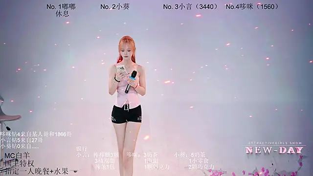 NEW-DAY webcam