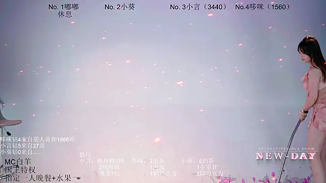 NEW-DAY webcam
