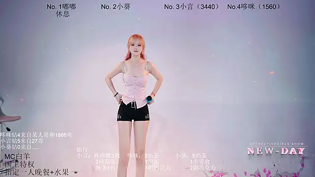 NEW-DAY webcam