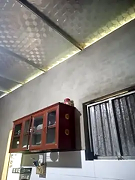 toyo_668 webcam