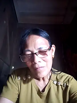 toyo_668 webcam