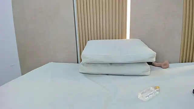 ammy_shell webcam