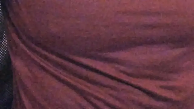 HotHunkTrainer webcam