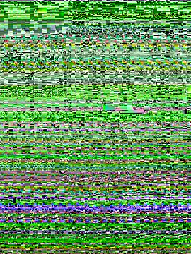 OMG-Ass webcam