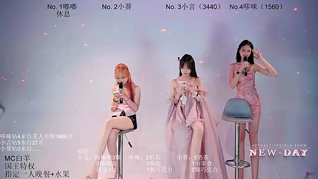 NEW-DAY webcam