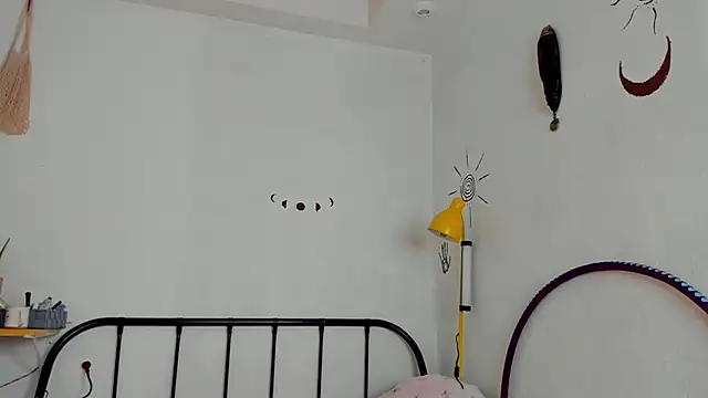 LiyaFly webcam