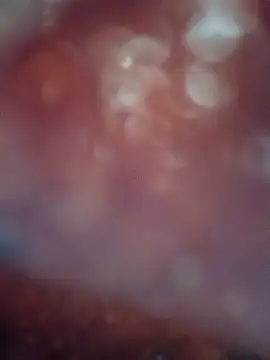 Nandani-758 webcam