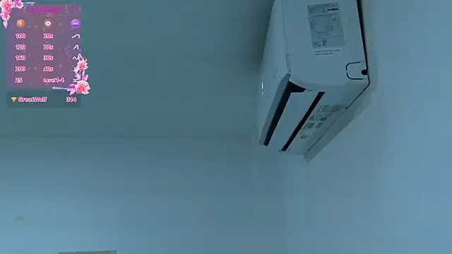 NinaCarter webcam