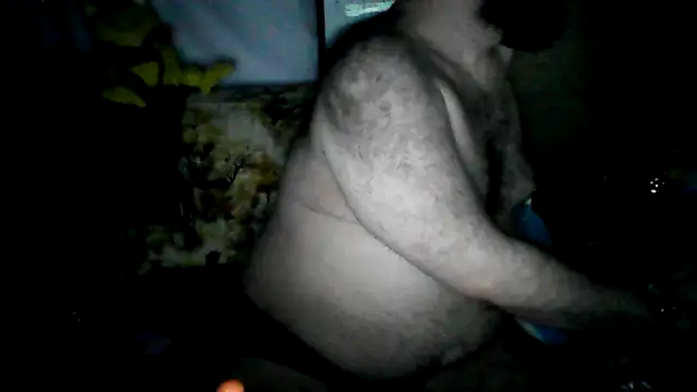 BriTheTopBear webcam