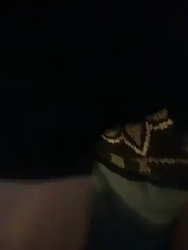 Ldnick69 webcam