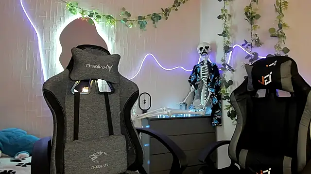 Elastikisss webcam