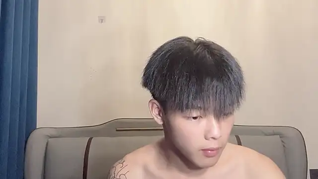 LY-0101 webcam
