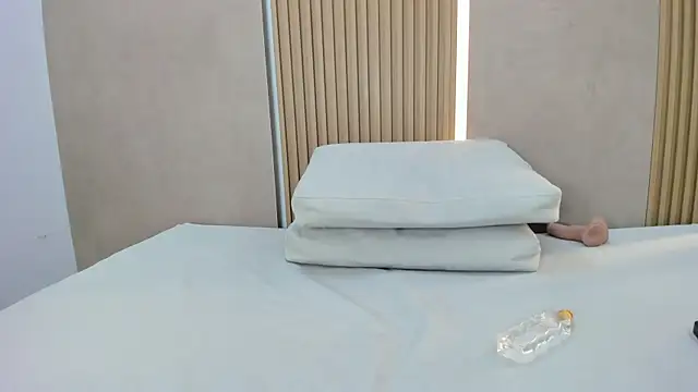 ammy_shell webcam
