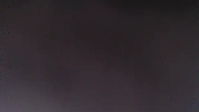 lelapopins webcam