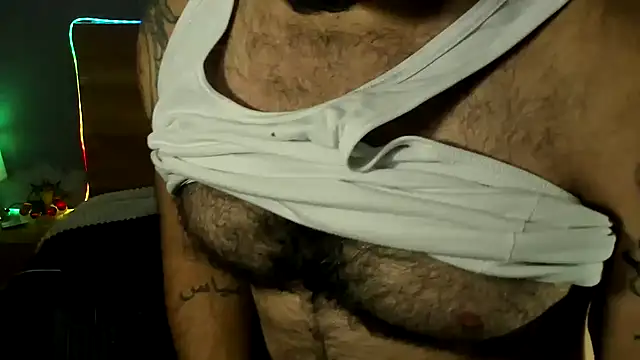 Prometeo-grizzly webcam