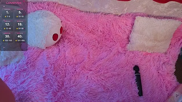 mirida_fox webcam