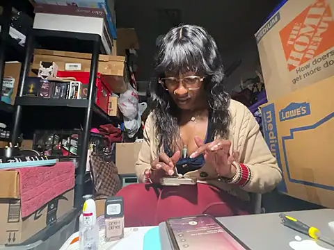 wynterheat webcam