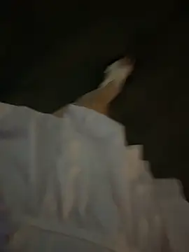 littleqiu webcam