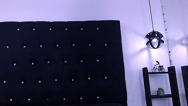 Dannesh_ webcam