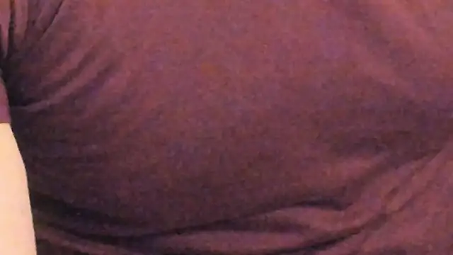 HotHunkTrainer webcam