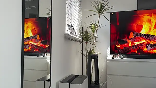 PROCOUPLEX0 webcam