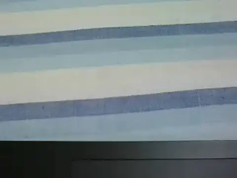 7_INCH_MONSTER webcam