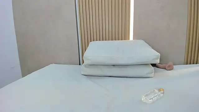 ammy_shell webcam