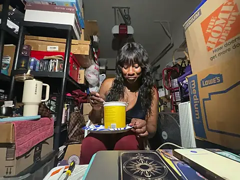wynterheat webcam