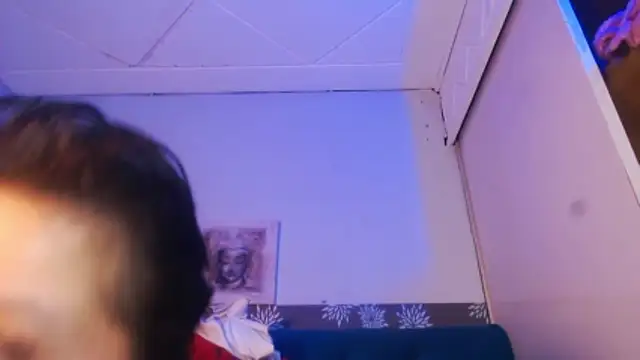 brunne_eva webcam
