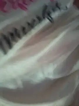Hansikatelugu webcam