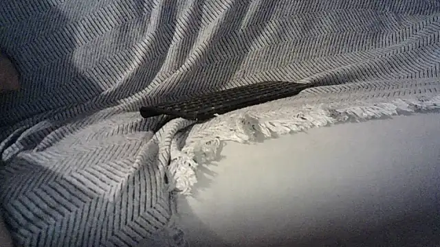 pedro_power webcam
