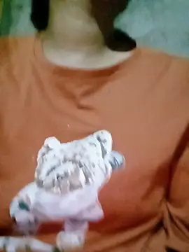 mo3mh webcam