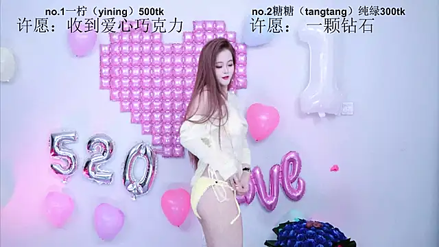 CCTW-100 webcam