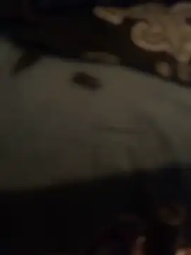 Ldnick69 webcam