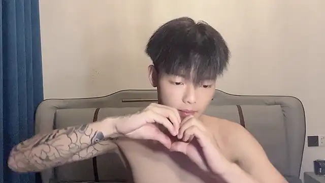 LY-0101 webcam