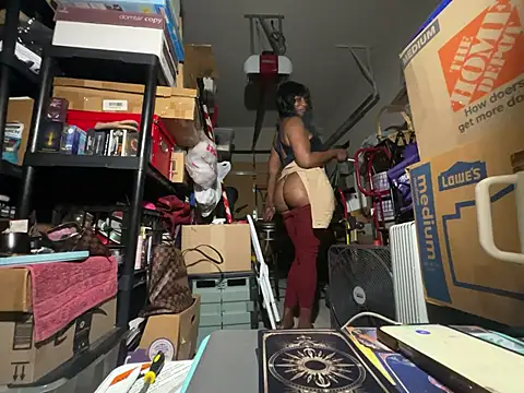 wynterheat webcam