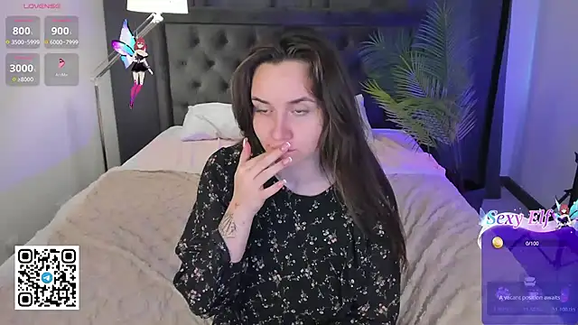 Domirelle webcam