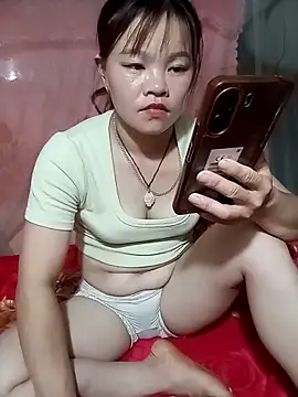 Lan_9x webcam