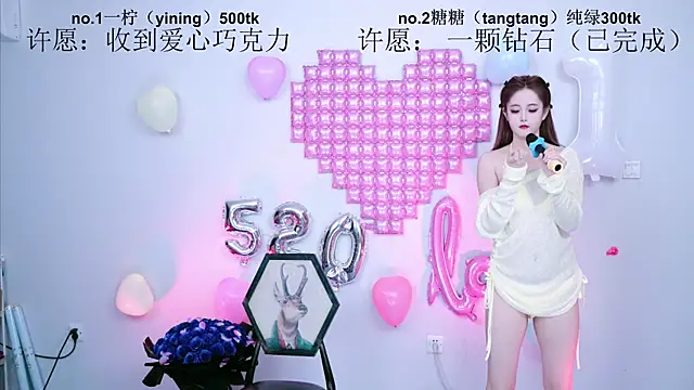 CCTW-100 webcam