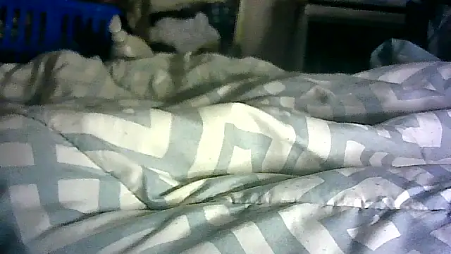 _P3RKY_IMMORTAL3_FIR3_ webcam