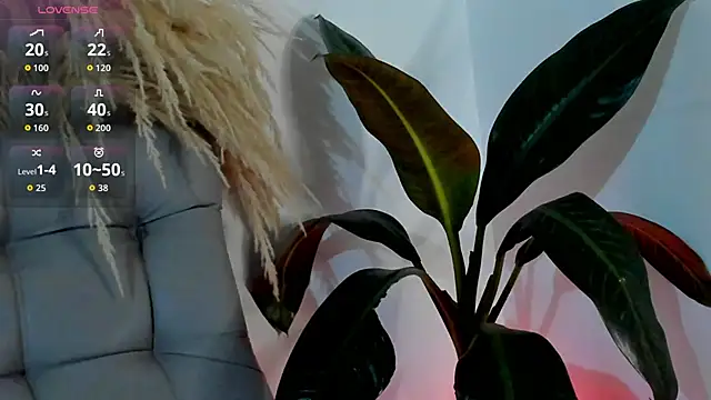 DakotaStills_ webcam