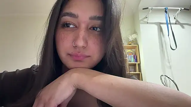 PaintedDisplay webcam