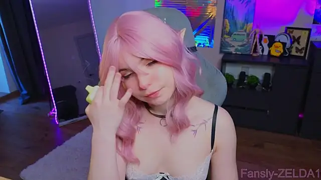 zelda_1 webcam