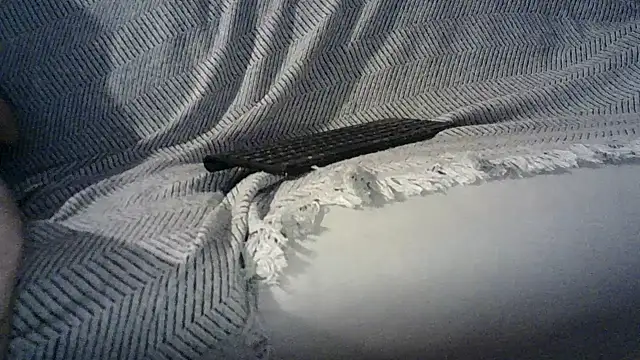 pedro_power webcam