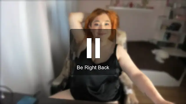 Vi-Vixen webcam