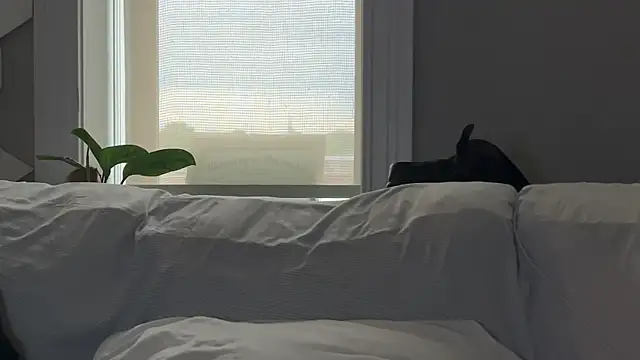 bestofdoseswirls webcam