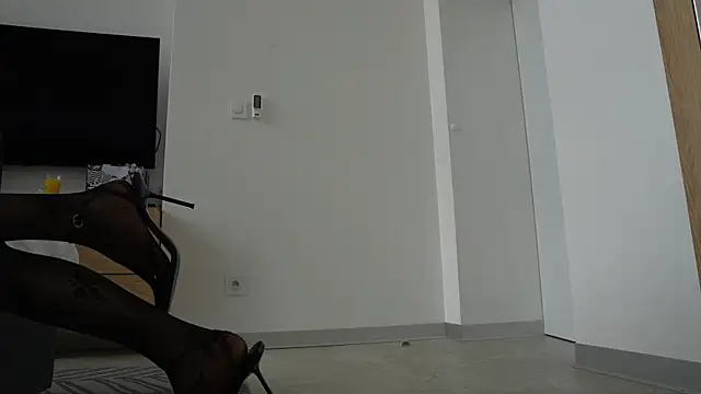 ibiddi webcam